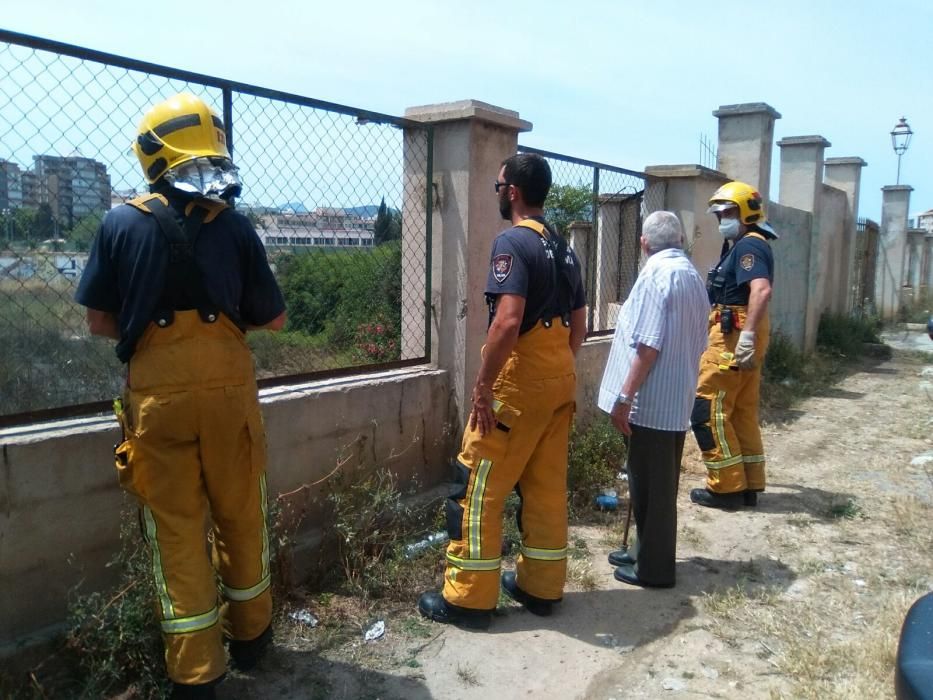 Declarado un incendio de rastrojos en el antiguo canódromo de Palma