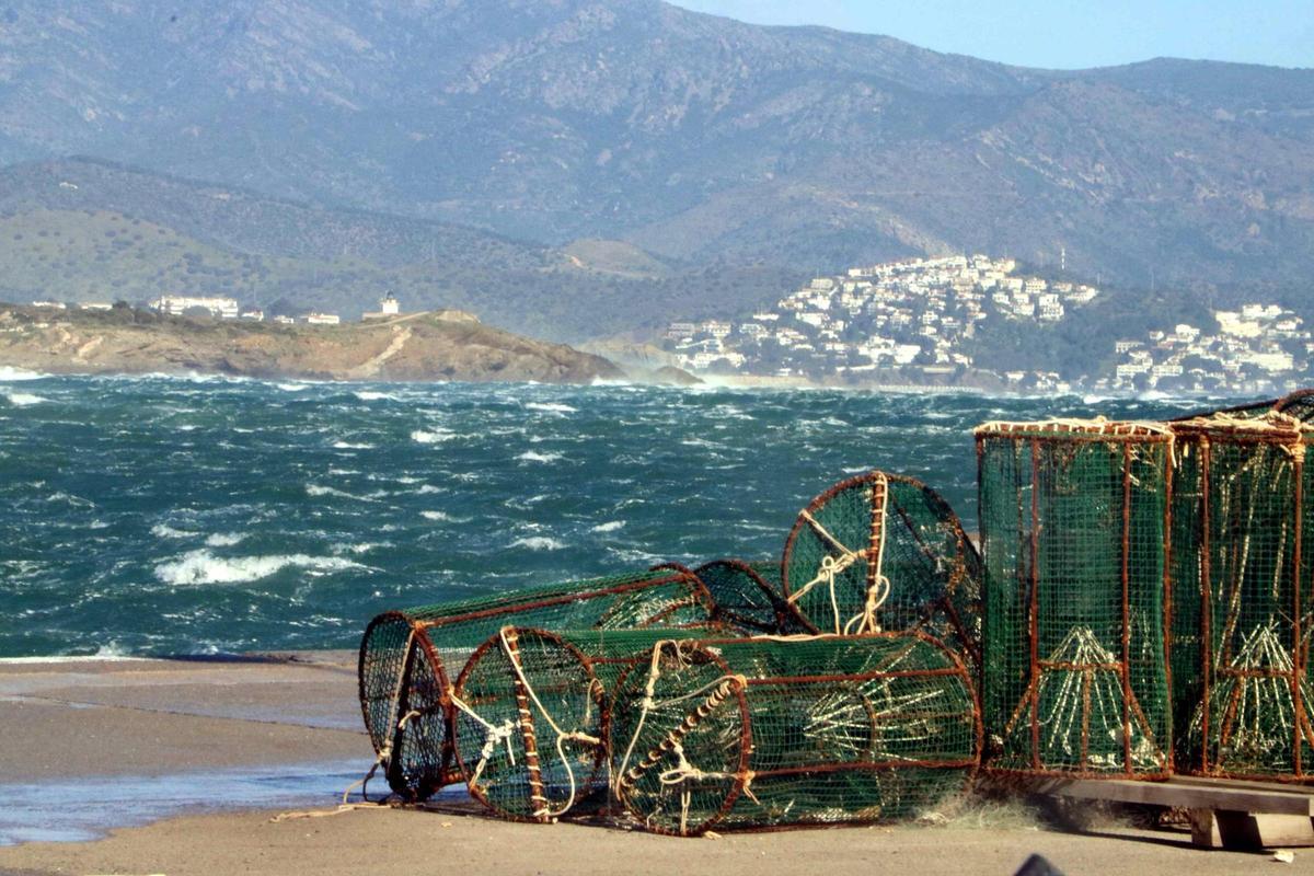 Les imatges dels efectes de la tramuntana a les comarques gironines