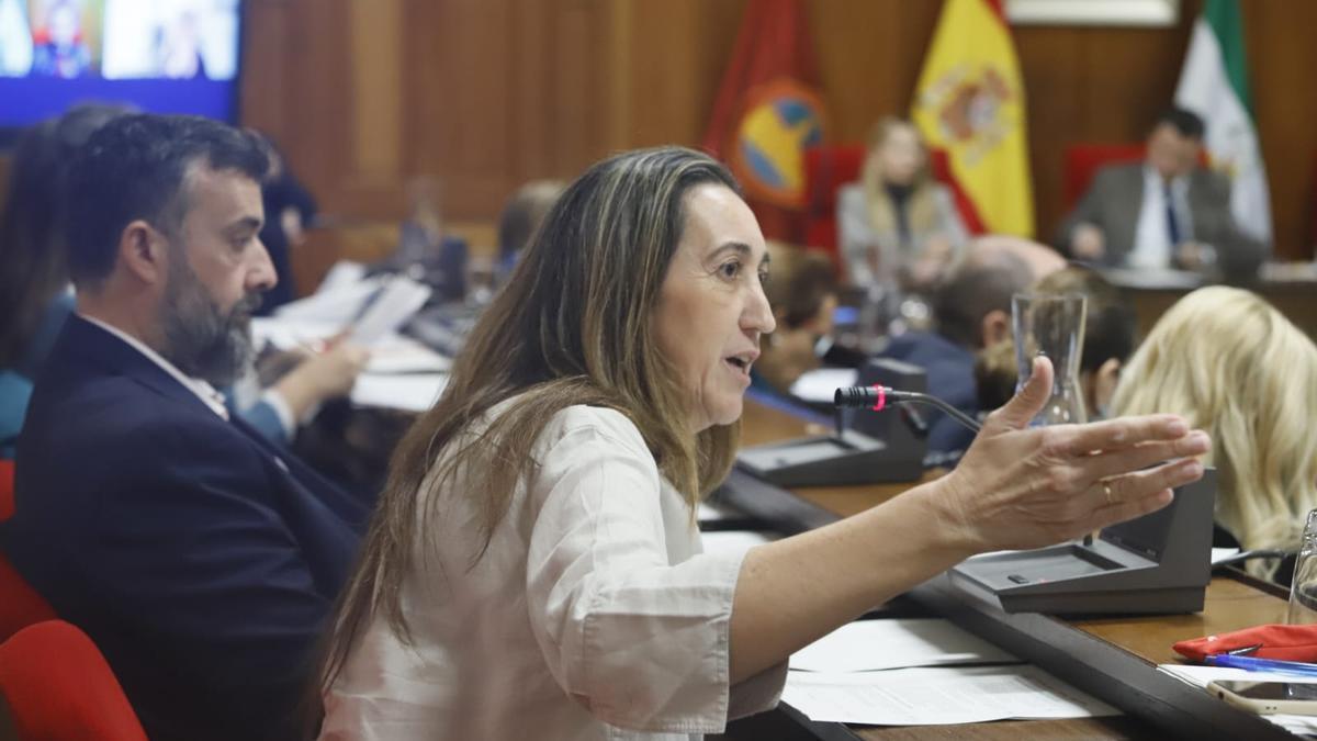 La portavoz de Vox, Paula Badanelli, en una de sus intervenciones.