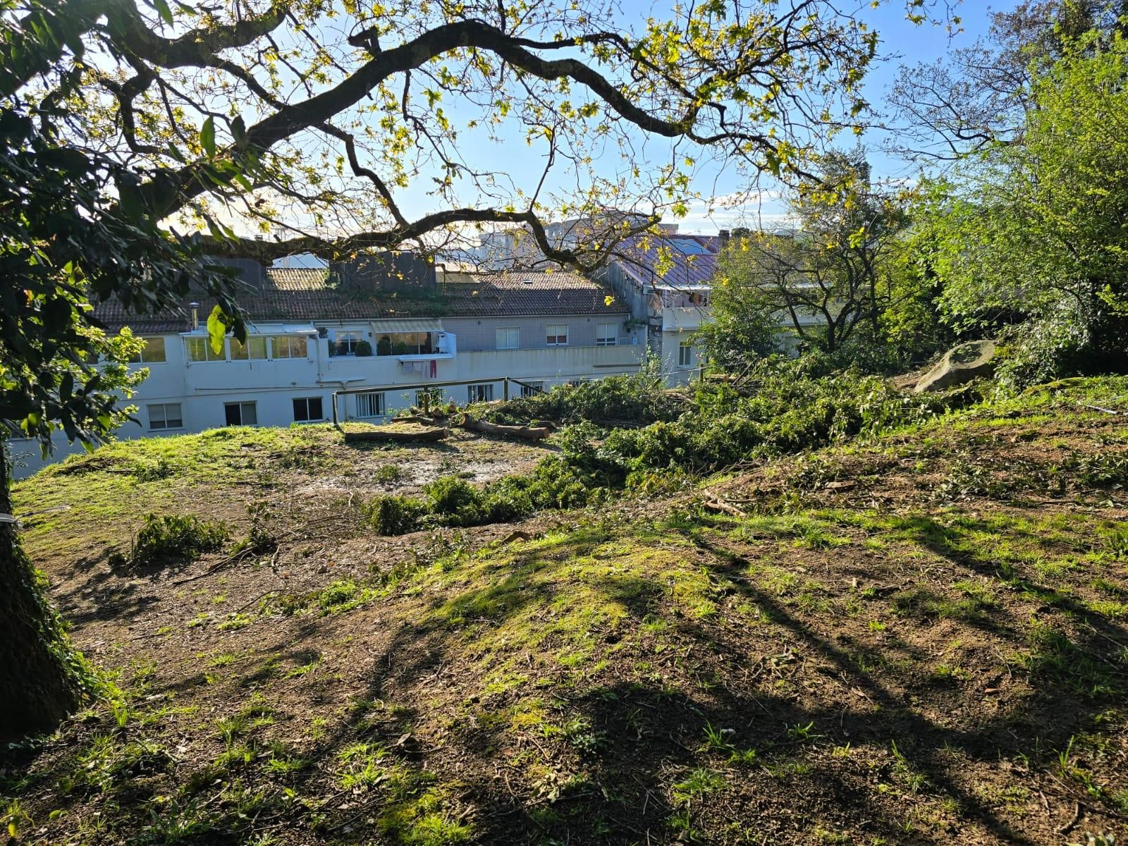 Los operarios municipales retomaron la tala de seguridad en el Parque Botánico Enrique Valdés Bermejo.