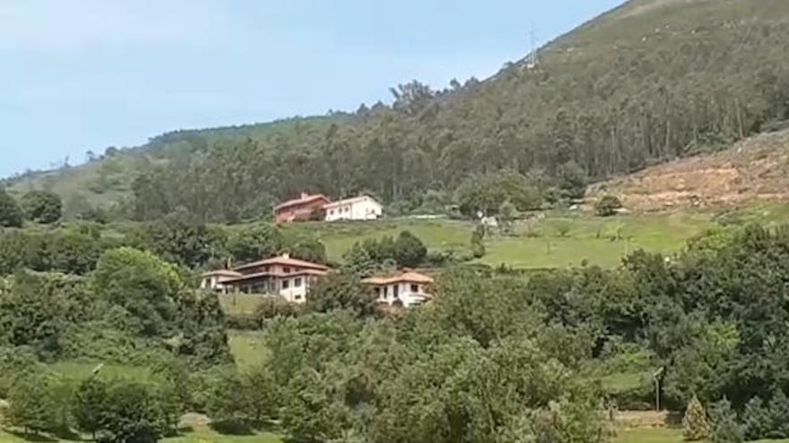 VÍDEO: Las sorprendentes visitas de los buitres leonados a la pista finlandesa de Oviedo