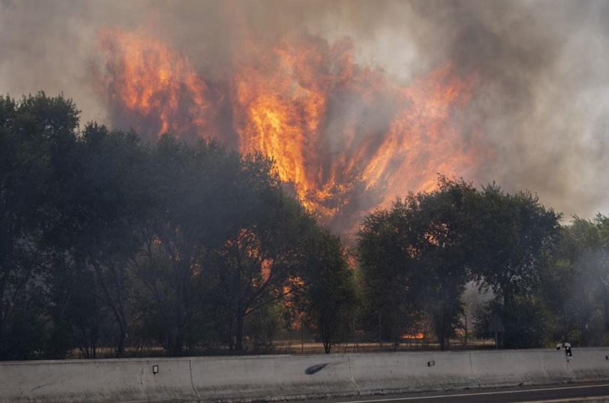 Incendio forestal, en la carretera M 206 entre Torrejón de Ardoz y Loeches, a 23 de julio de 2026, en Madrid (España)