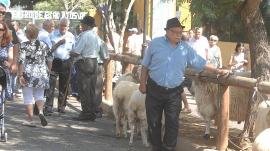 Procesión de San Miguel y Feria de Ganado en Valsequillo