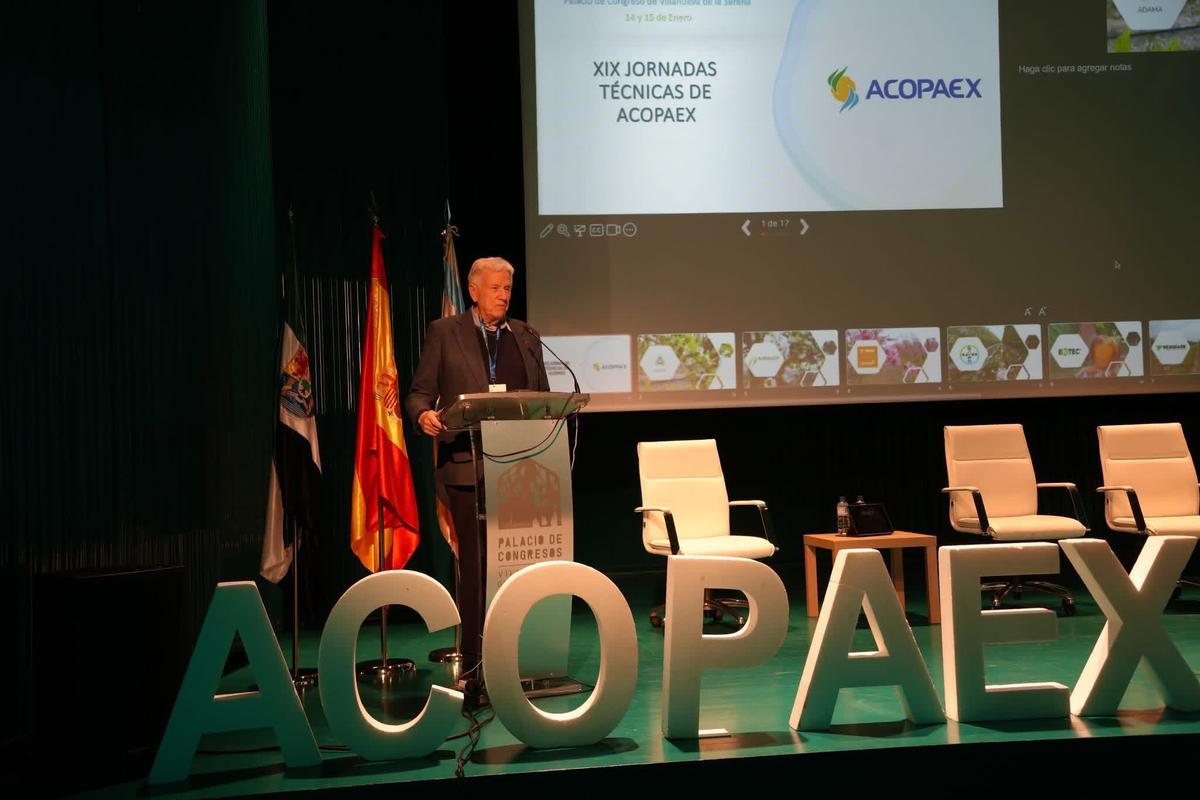 Desarrollo de una de las ponencia.