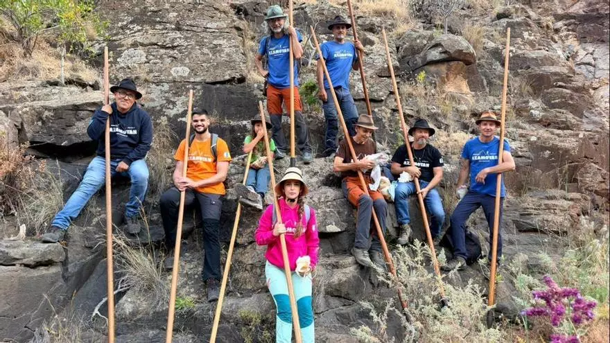 Todo sobre el salto del pastor, actividad cultural típica de Canarias