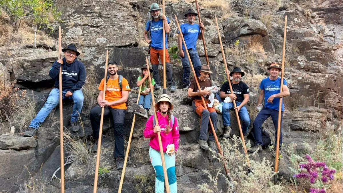 El salto del pastor no es un circo: la tradición canaria que se entrena en los riscos y exige respeto