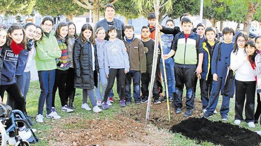 552 NIÑOS CELEBRAN  EL DÍA DEL ÁRBOL  EN TRES JARDINES