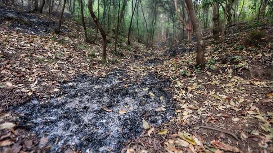 The Cabildo de Tenerife considers the fire controlled