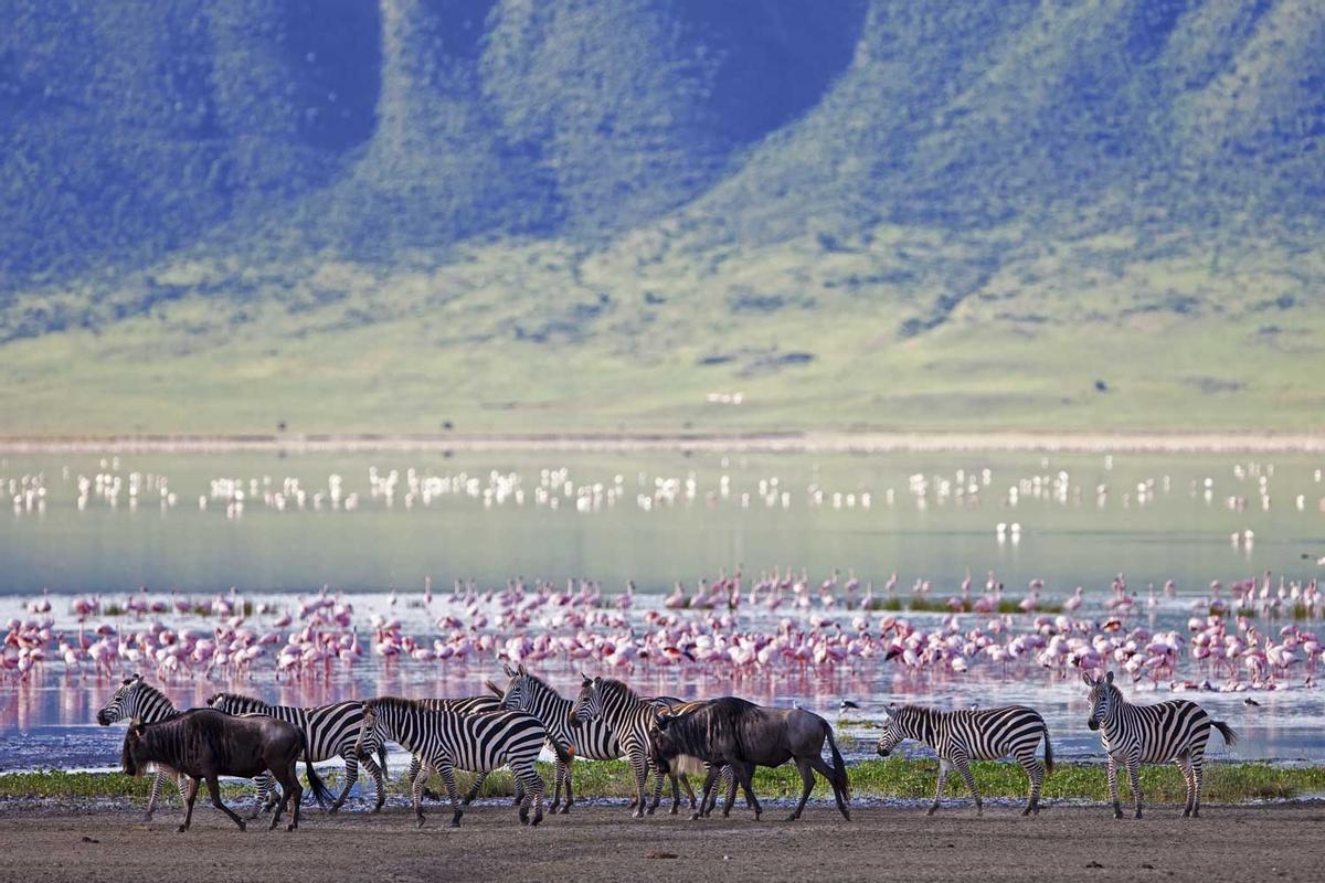 Cráter del Ngorongoro.