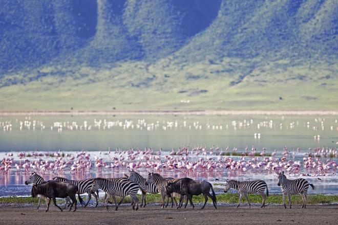 Cráter del Ngorongoro