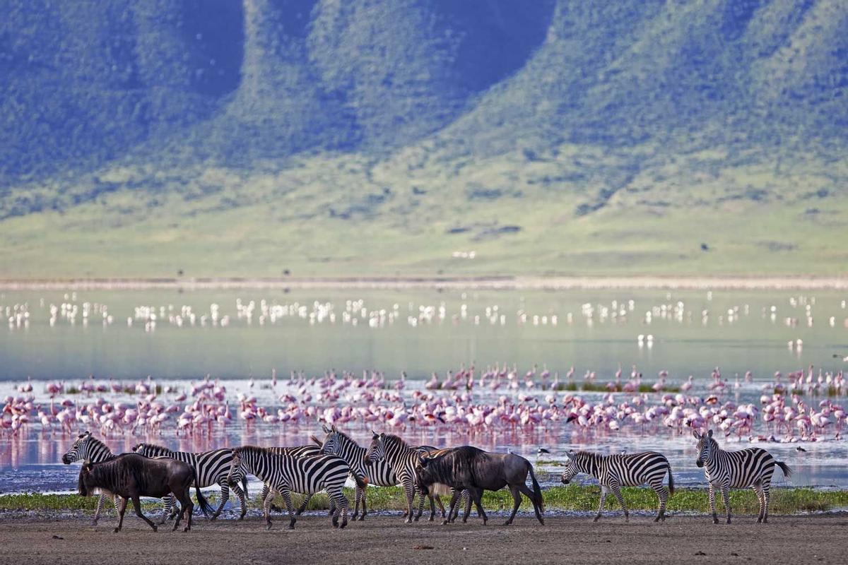 Cráter del Ngorongoro