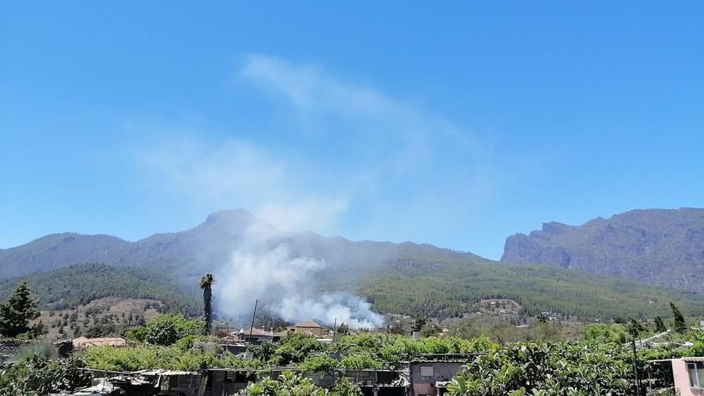 Conato de incendio en La Palma