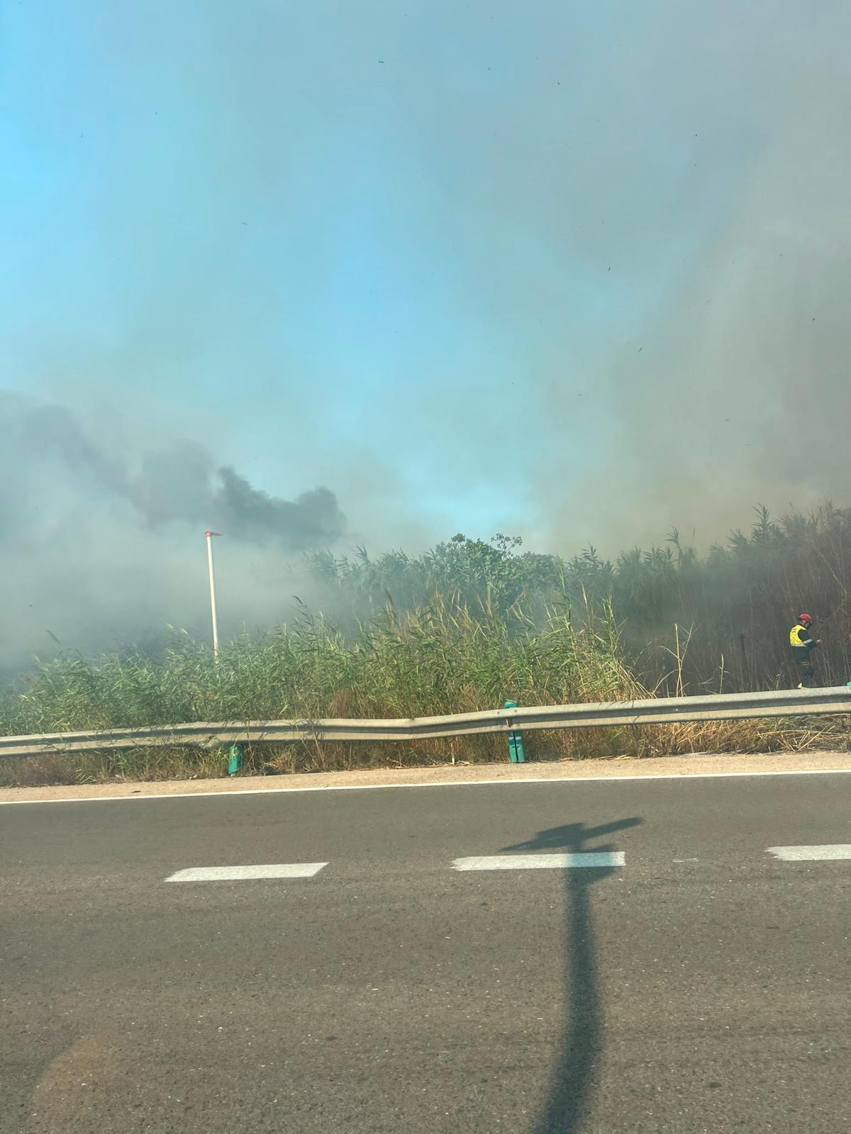 Un aparatoso incendio junto al Oceanogràfic y la autovía del Saler obliga a cortar el tráfico de entrada y salida a la ciudad