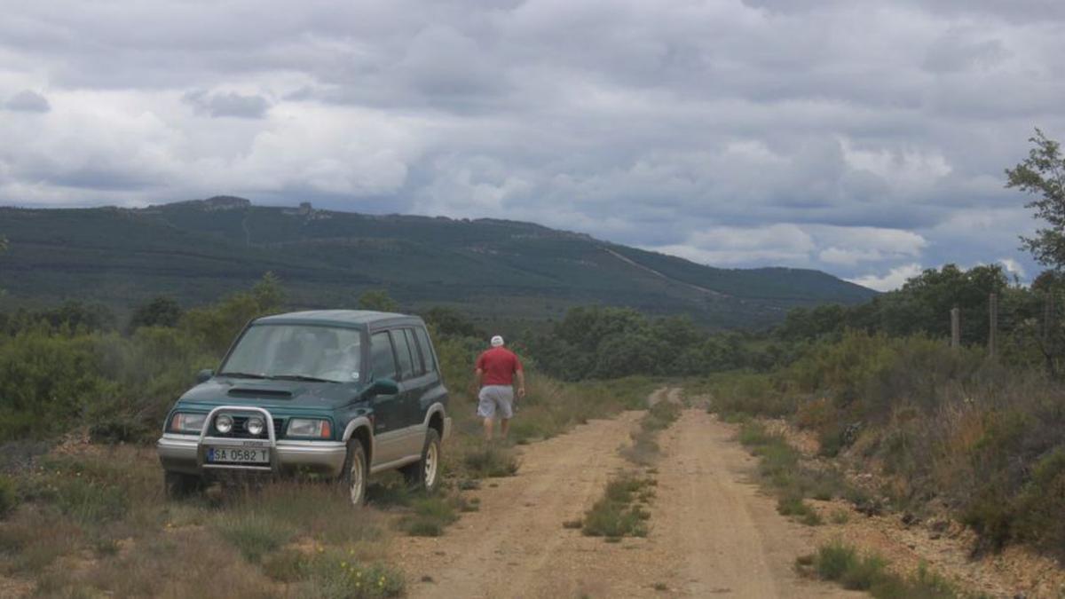 Red de caminos de Codesal.