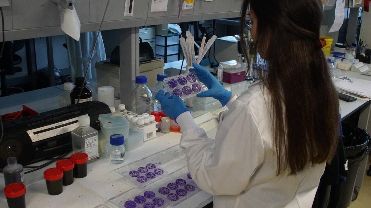 Una persona trabaja en el laboratorio del Cimus, uno de los centros de investigación de la USC relacionados con la biotecnología