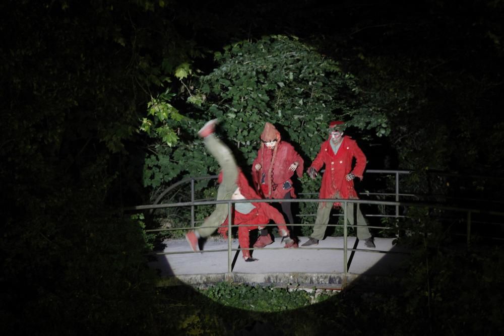 Noches mágicas en el Botánico de Gijón