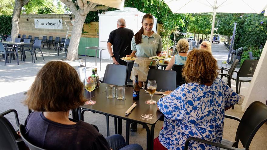 Gastronomía en Calvià: La ‘Mostra de Cuines’ arranca en Peguera, Cala Fornells, el Toro, es Capdellà y Son Ferrer