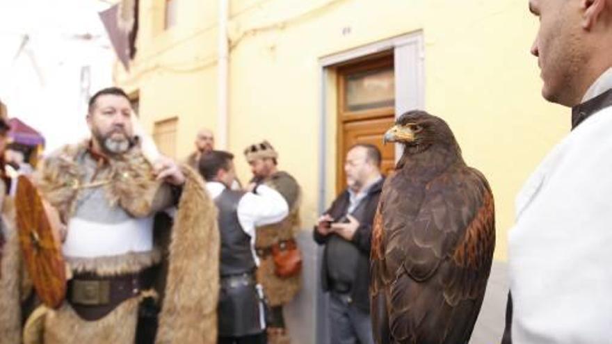Villena eliminará la exhibición de animales en las Fiestas del Medievo