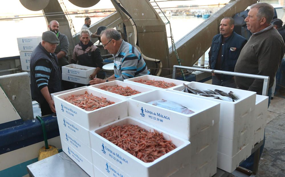 Tan solo cinco compradores y un barco se encargan de llevar el marisco y el pescado de arrastre cada día a la mesa de los malagueños donde la merluza y las gambas son las grandes protagonistas.