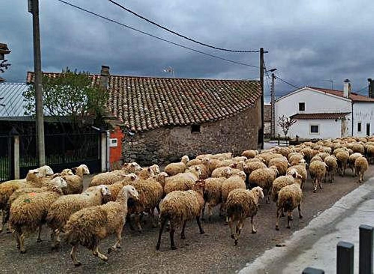 "Nosotros a lo nuestro, a producir alimentos"