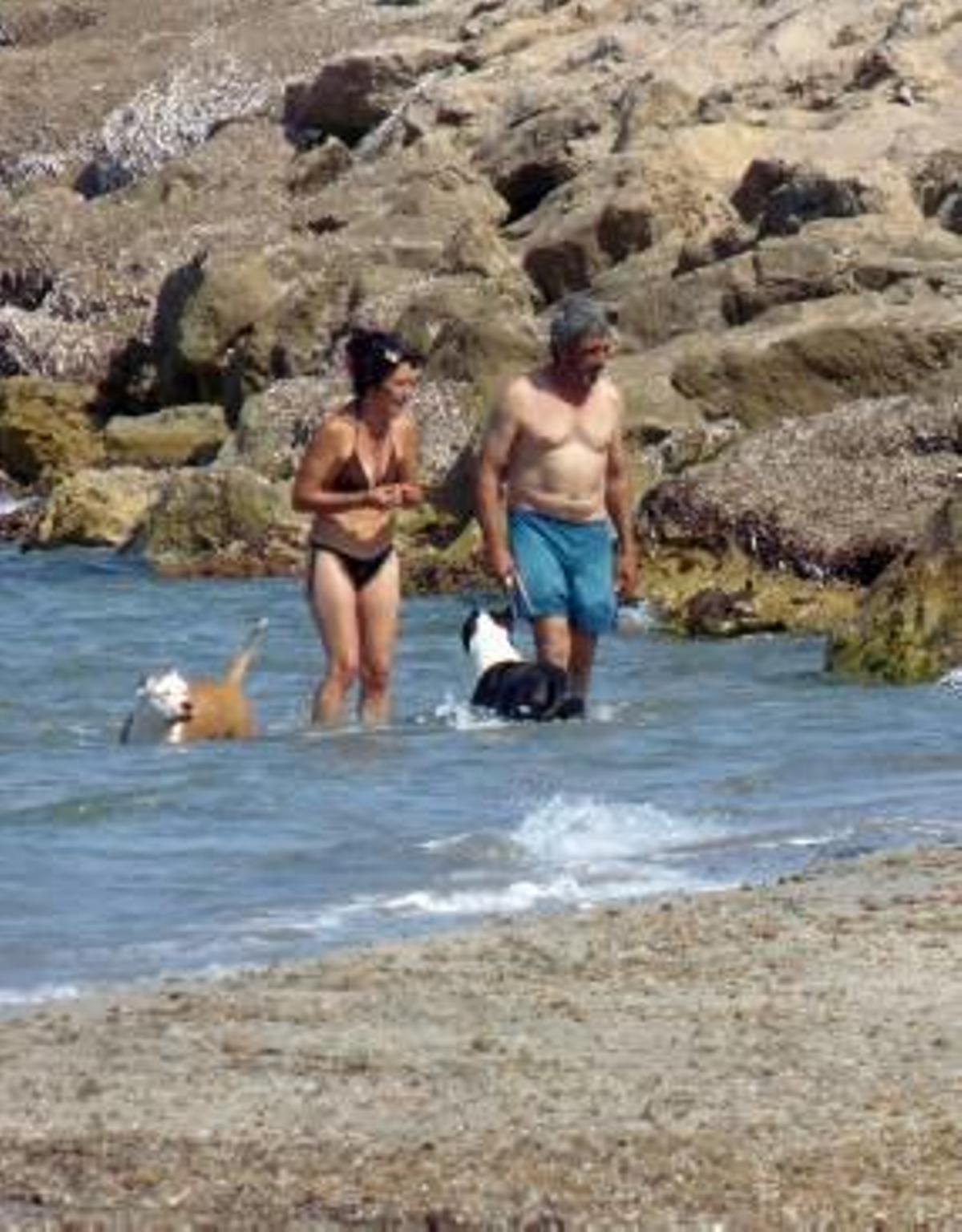 Un escollo en la playa para perros