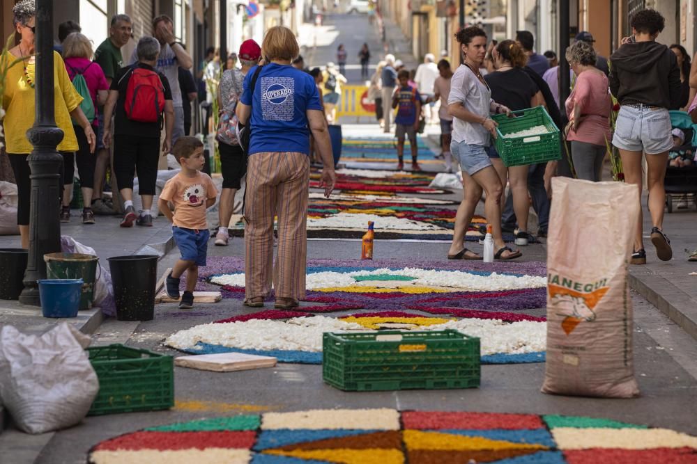 Catifes florals a Blanes.