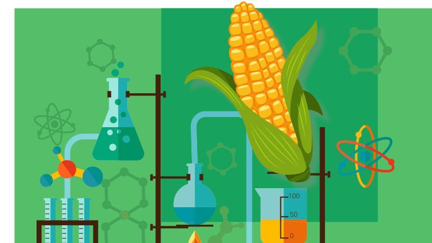 Cultivos más nutritivos, resistentes a plagas y adaptados a la  sequía