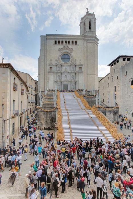 Consulta les millors imatges del llibre "Girona, Temps de Flors 2018"