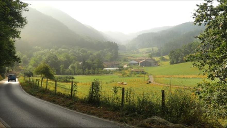 El latido de Urdaibai