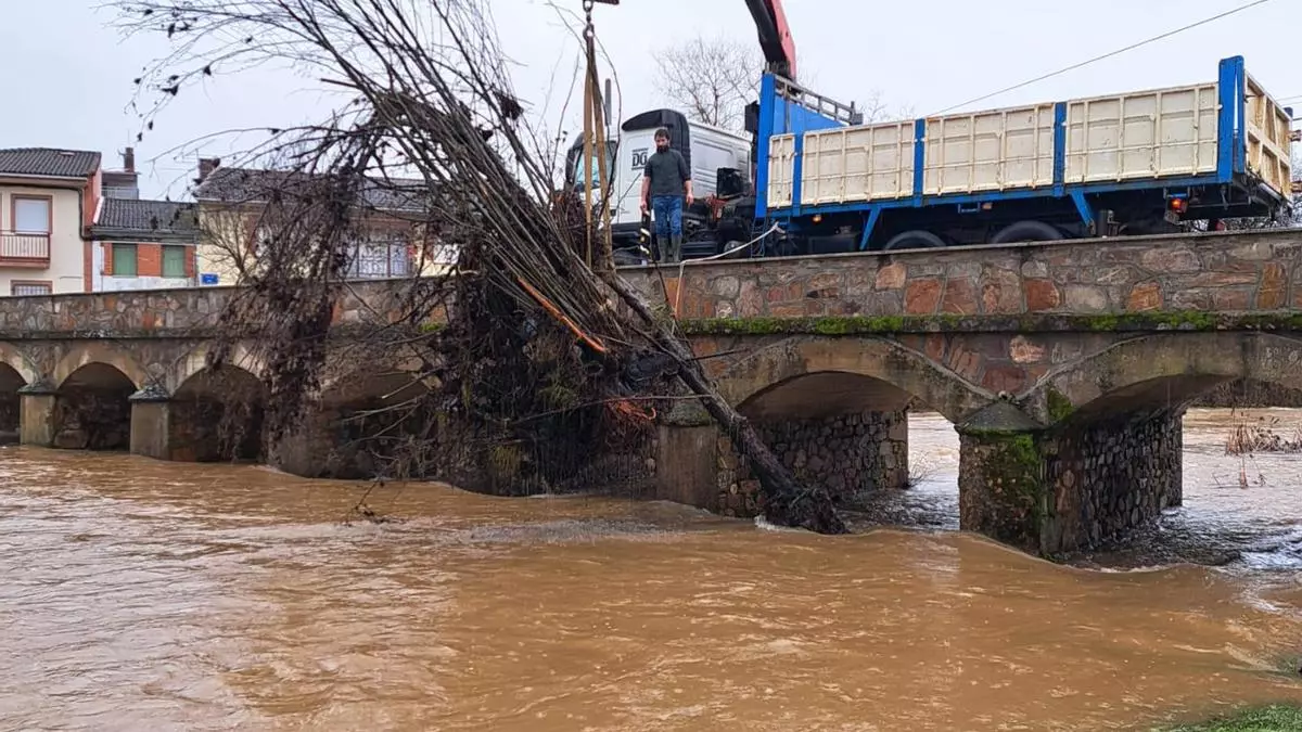 Valer de Aliste libera el Puente de Piedra de los árboles arrastrados por el río Frío