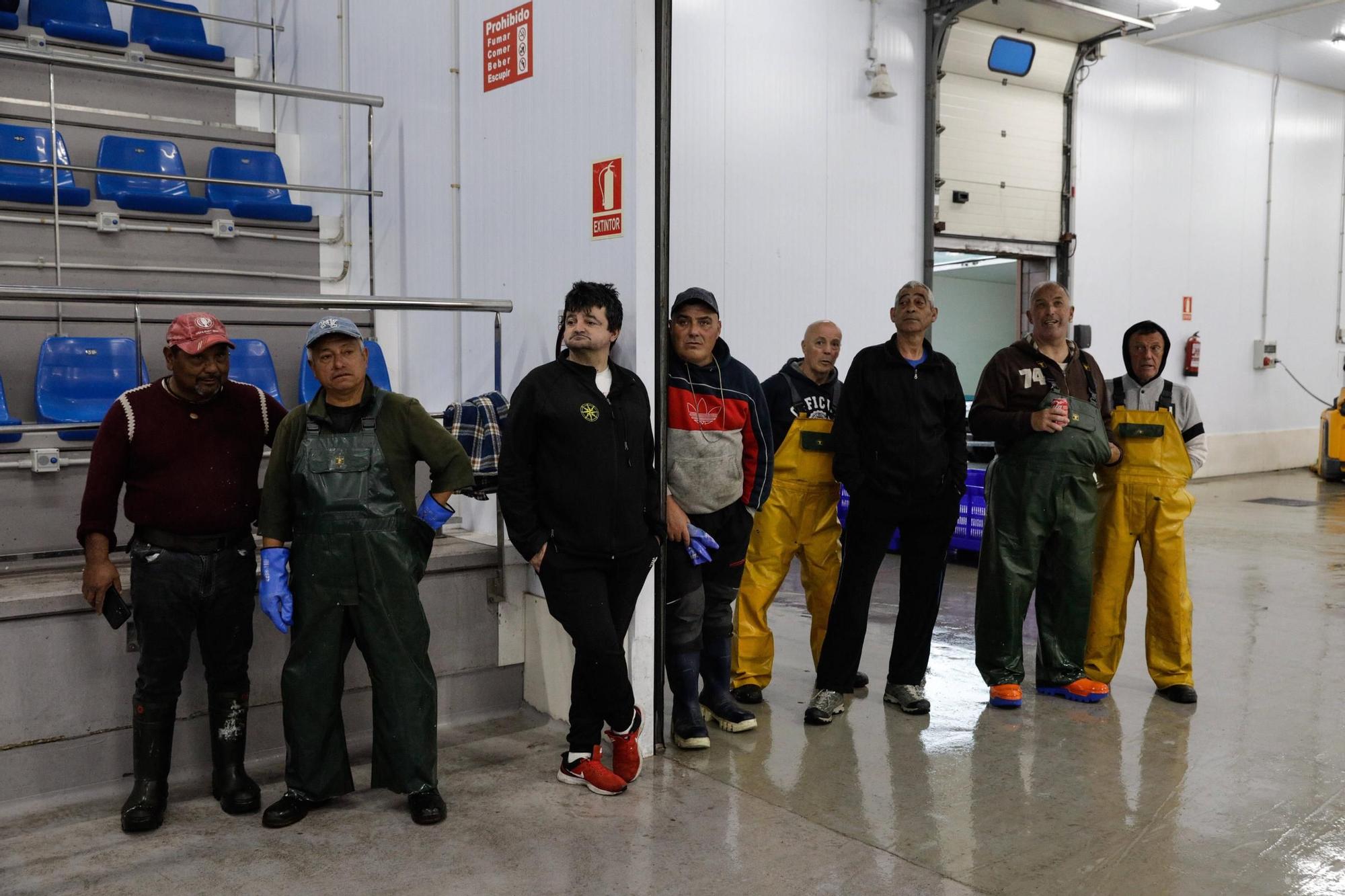 Así fue la primera descarga de bonito de la temporada en Lonja Gijón (en imágenes)