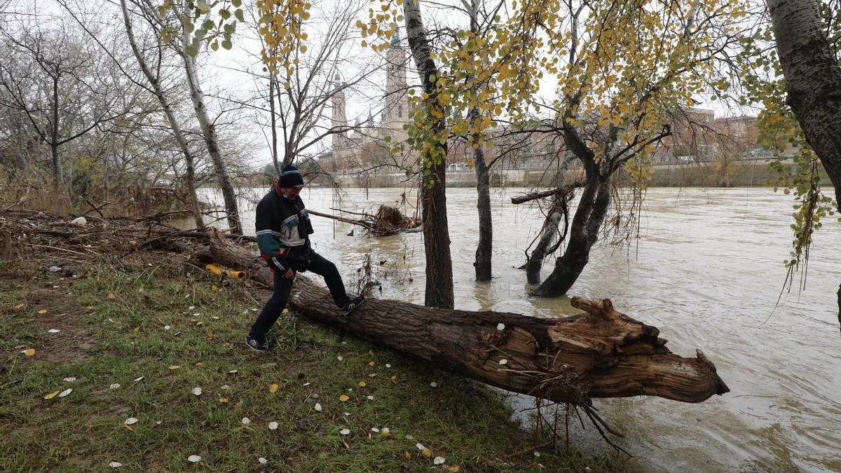 Zaragoza empieza a limpiar los efectos de la crecida