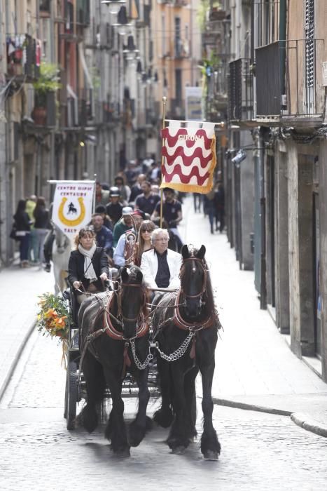 Cavalcada de Sant Antoni de Girona