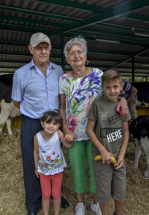 ARUCAS GRAN CANARIA A 27/05/2017. Feria de Ganado en la Granja del Cabildo de Gran Canaria. FOTO: J.PÉREZ CURBELO