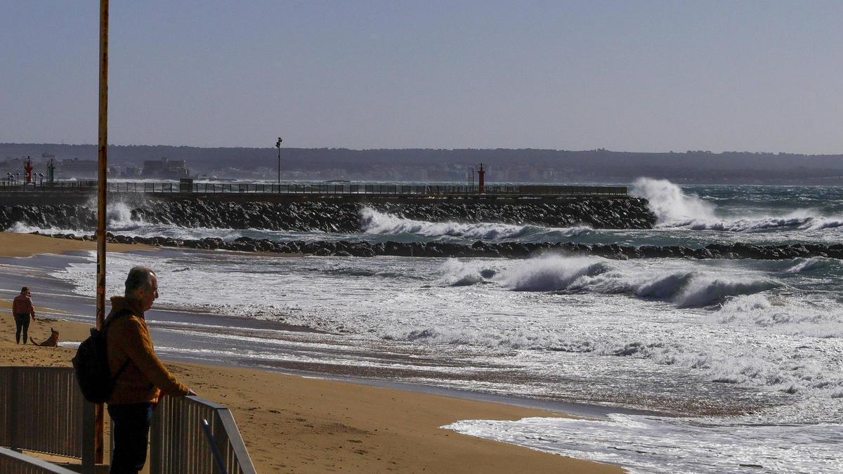 Temporal de viento en Palma