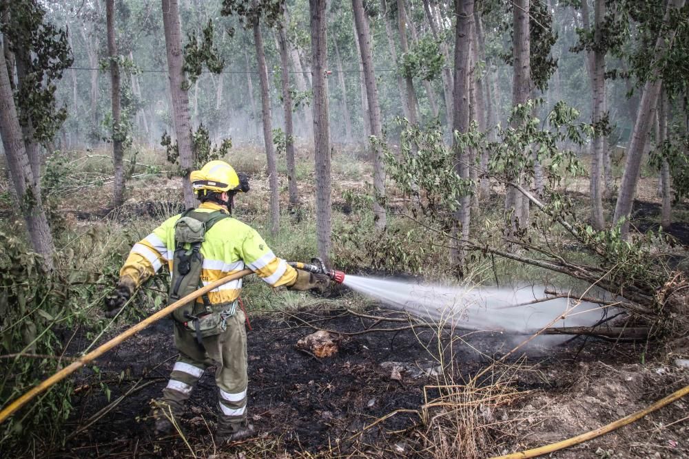 Incendio forestal en Muro