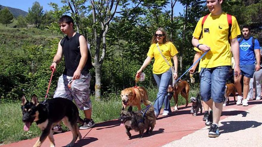 La I Marcha Animalística de Alcoy acoge a unas 100 personas con sus perros