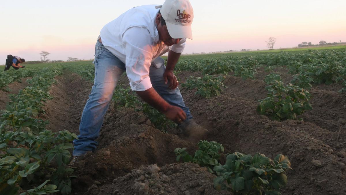 Quienes se dedican a la jardinería y la horticultura tienen menos riesgo de cáncer