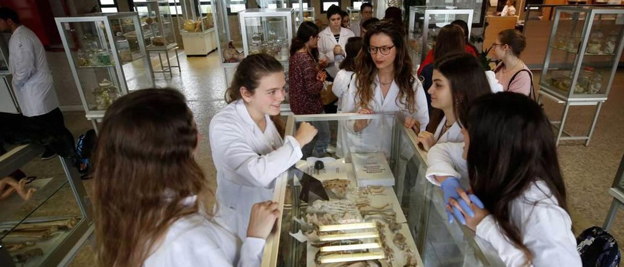 Un grupo de alumnos de Medicina, en una de las salas del centro.