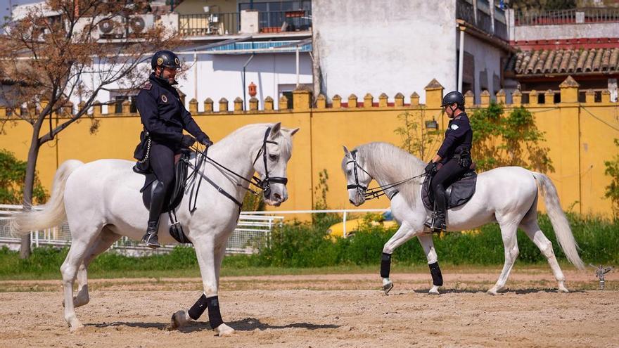 La unidad de caballería de Córdoba cumple 150 años