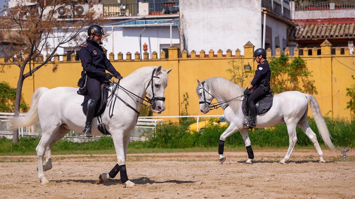 La unidad de caballería de Córdoba cumple 150 años