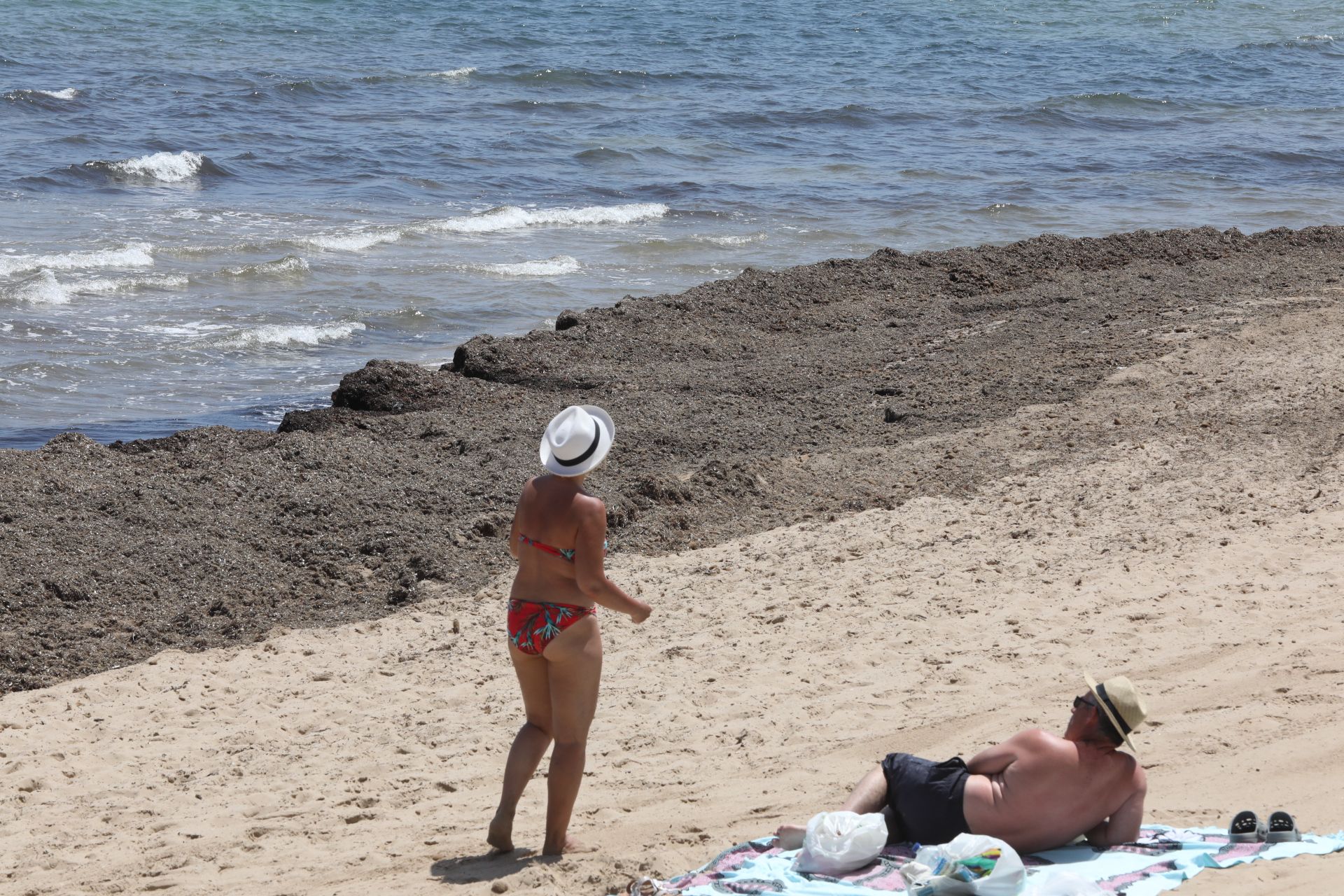 Invasión de algas en Arenales