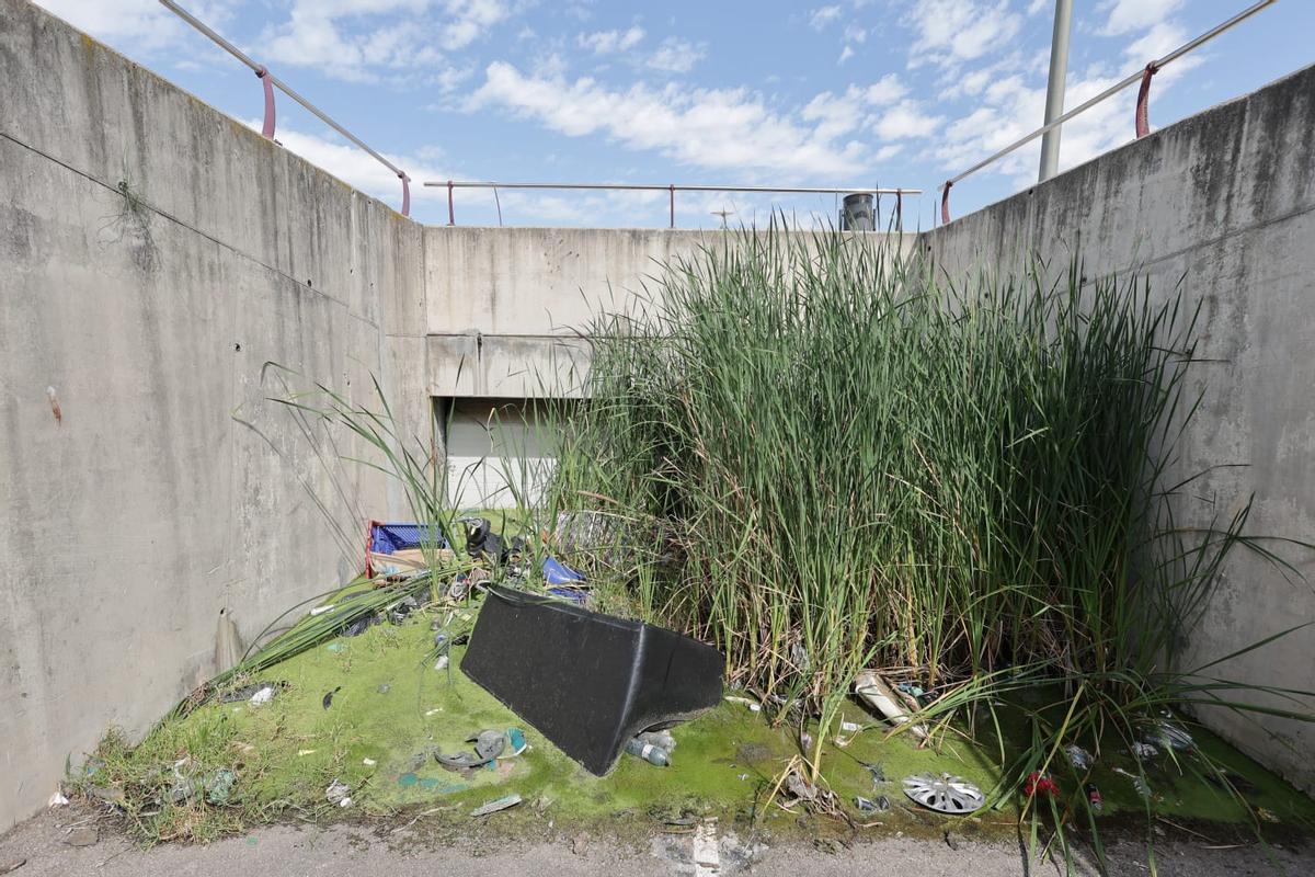 Agua estancada y vegetación de gran altura en uno de los accesos al aparcamiento.
