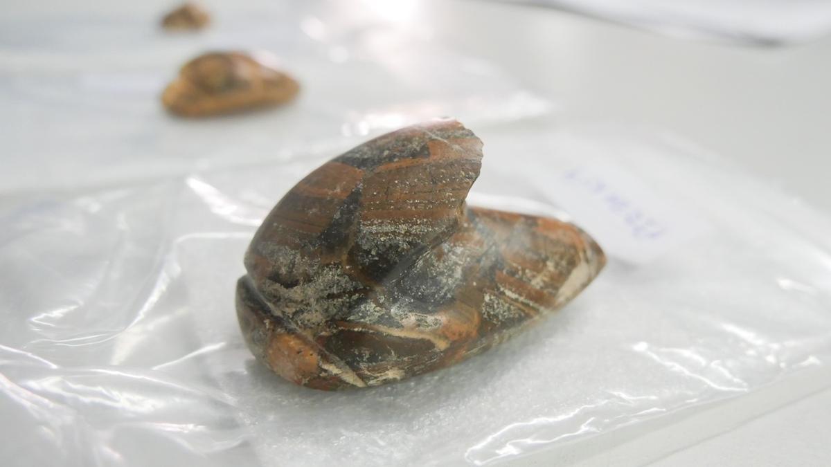 Placas aborígenes donadas por un particular al Cabildo de Lanzarote