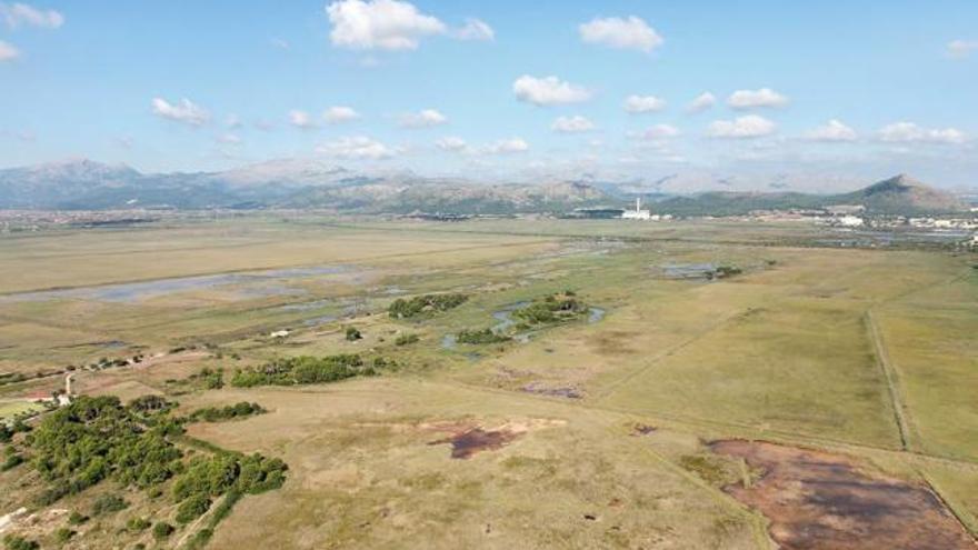 El TSJB zanja la polémica: la licencia del campo de golf de Son Bosc es ilegal