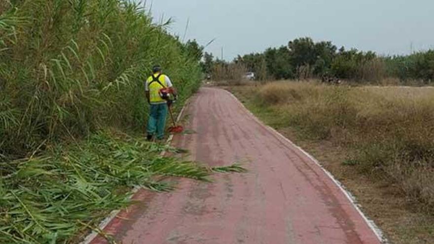 Limpian el carril bici que comunica Pinedo y El Saler