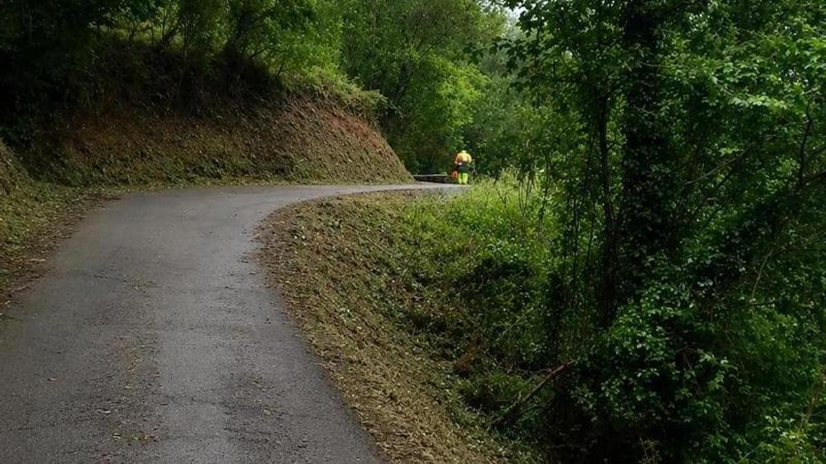 Uno de los caminos que ha sido objeto de tareas de desbroce.