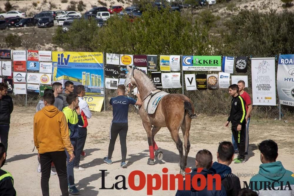 Carrera de entrenamiento de los Caballos del Vino