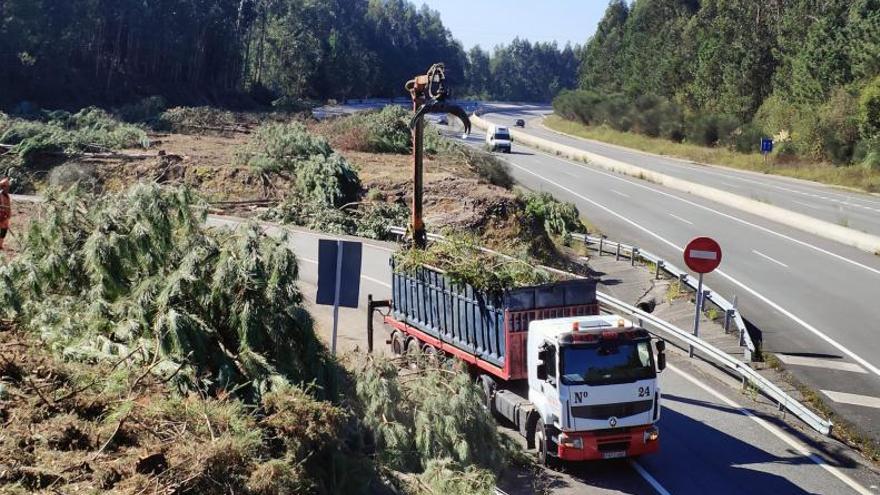 La Xunta destina 1 millón de euros a limpiar y mantener las márgenes de la Autovía do Morrazo