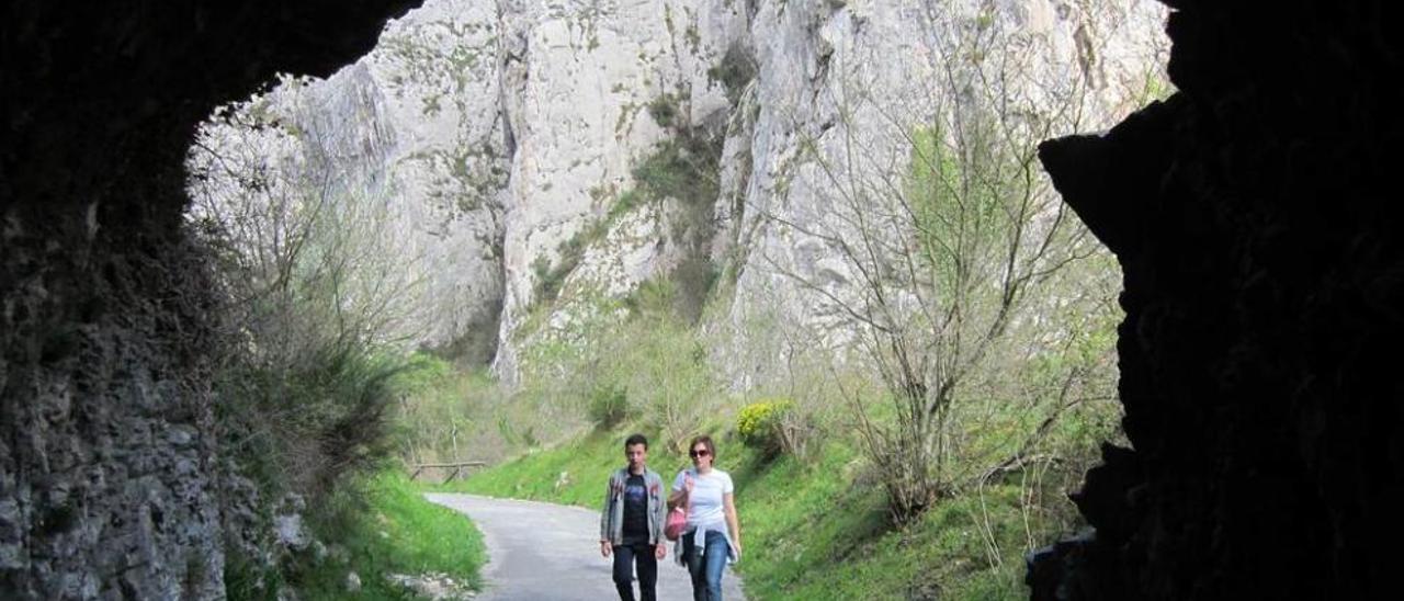 Caminantes por la Senda del Oso.